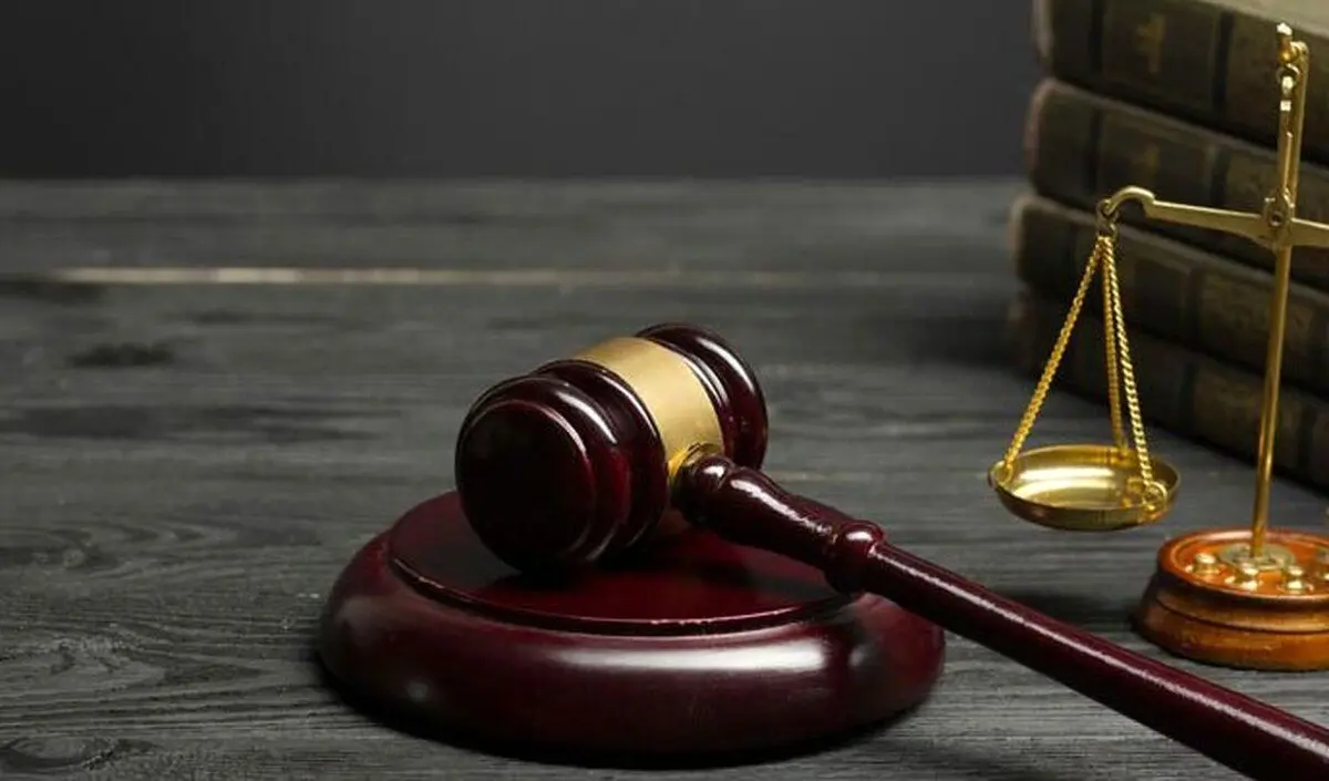 پاسخ خبرگزاری میزان به ادعای نازیلا معروفیان