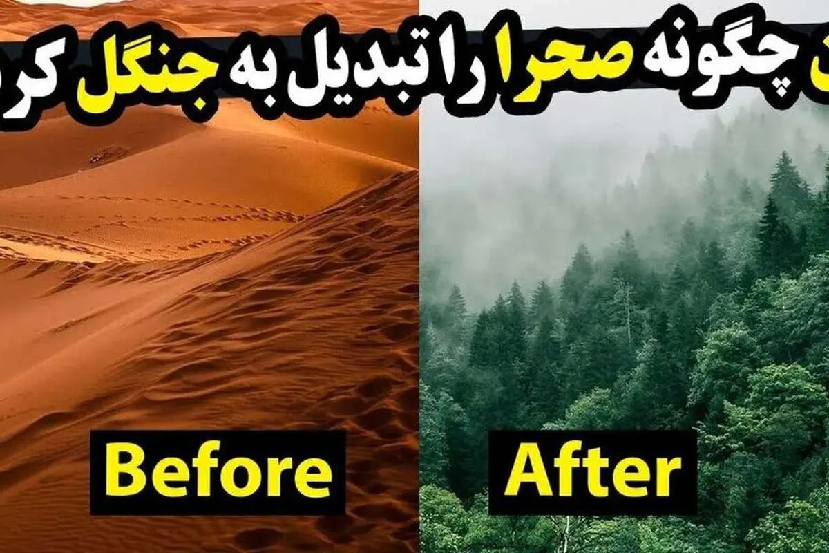 (ویدئو) چینیها چگونه توانستند یک صحرا را به جنگل تبدیل کنند؟