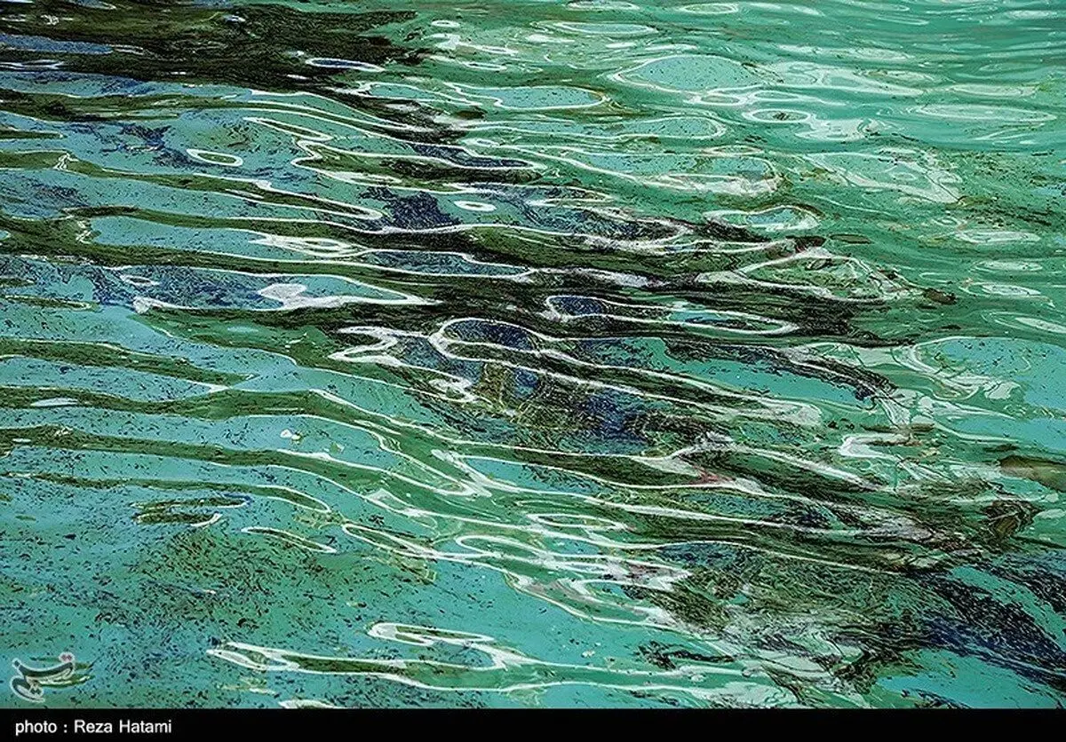 (تصاویر) آلودگی نفتی خط انتقال نفت از گناوه به جزیره خارک