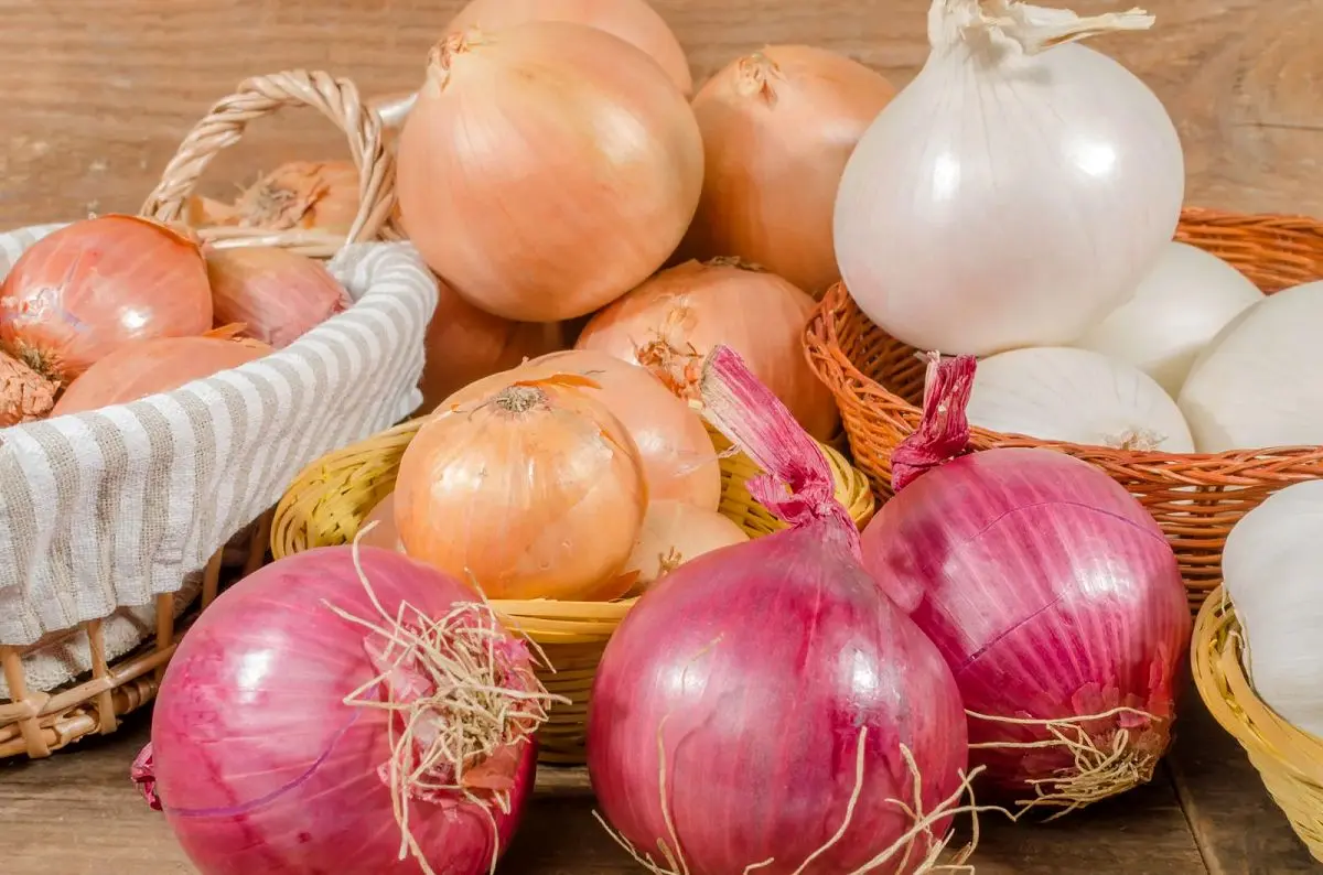 خواص فوق العاده پیاز برای معده
