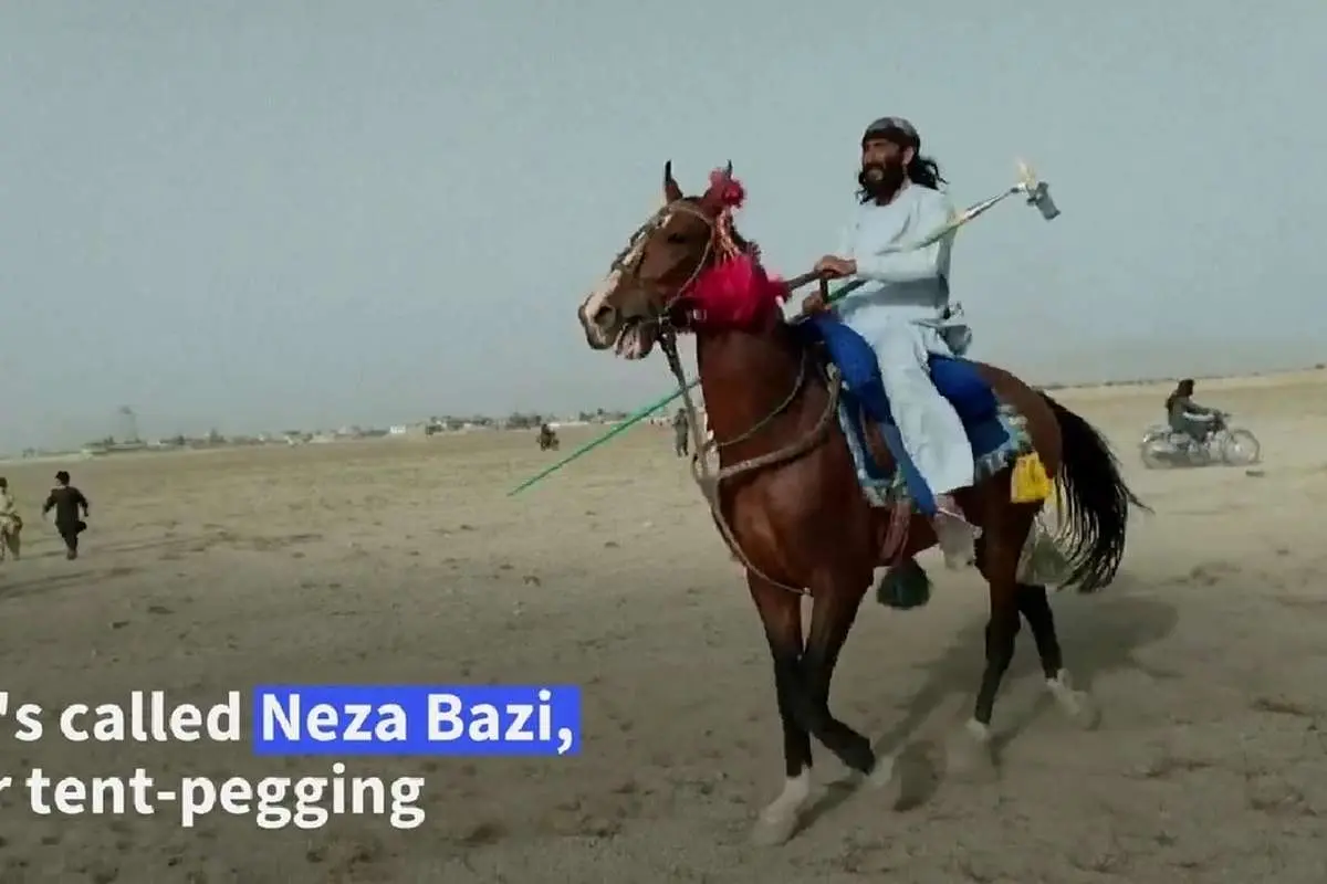 (ویدئو) نیزه بازی، ورزش محبوب افغانها