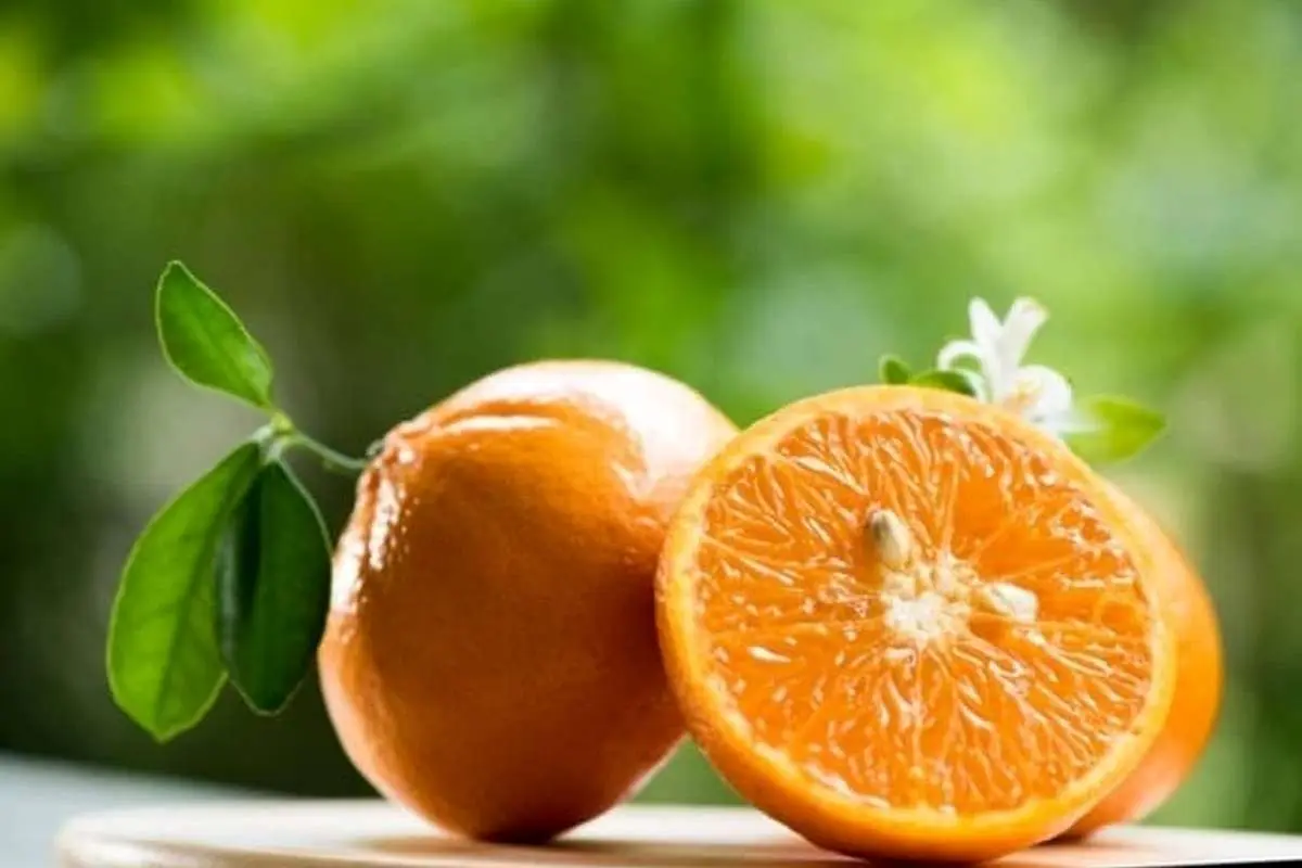 تمام خواص آب نارنج برای درمان و زیبایی + عوارض