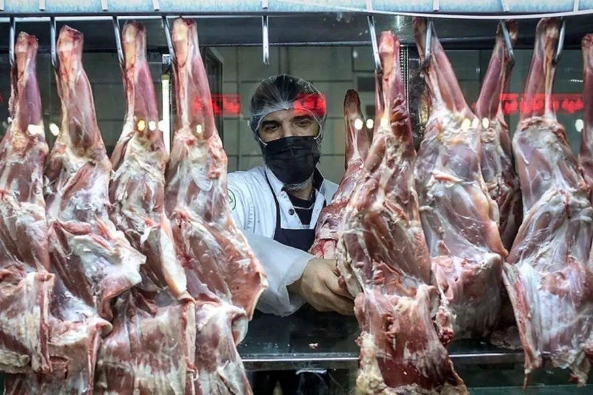 قیمت گوشت قرمز؛ سبقت گوسفندی از گوساله