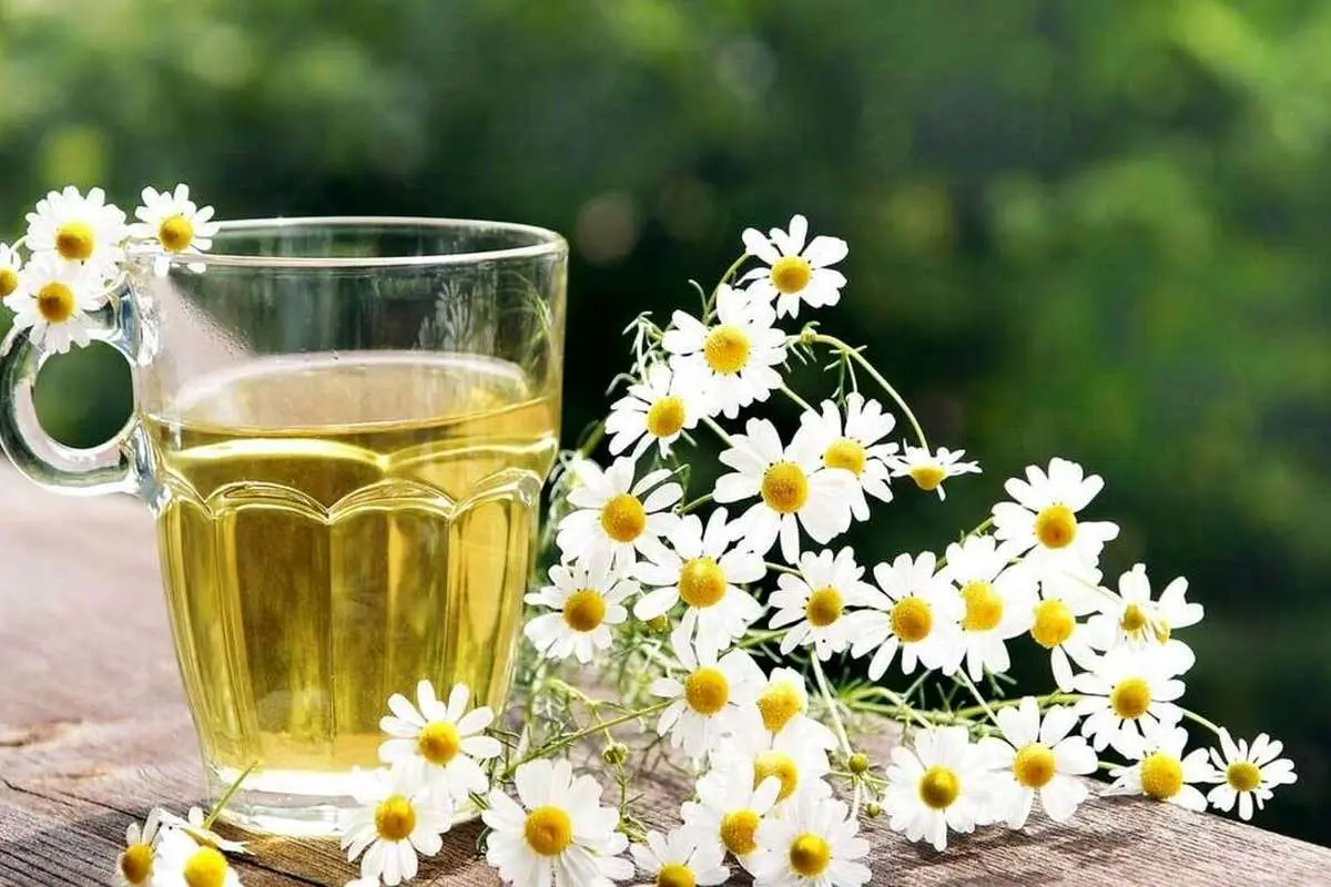 این گیاه استرس را از بین میبرد