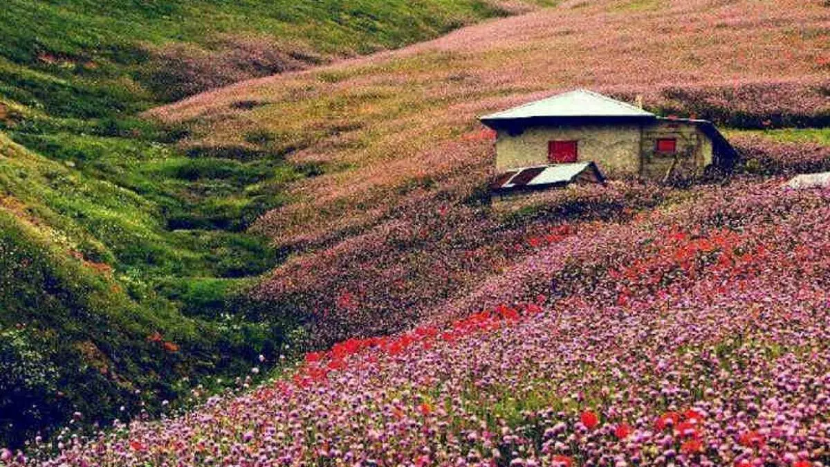 (عکس) نمایی تماشایی از جاده پاییزی اسالم به خلخال