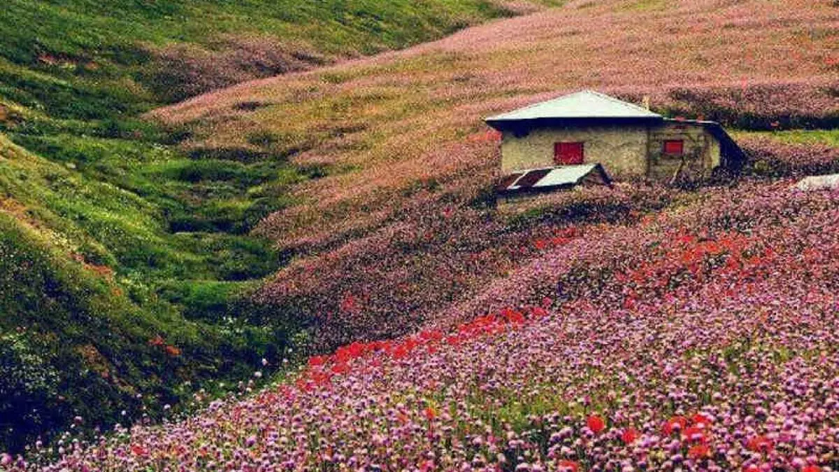 (عکس) نمایی تماشایی از جاده پاییزی اسالم به خلخال