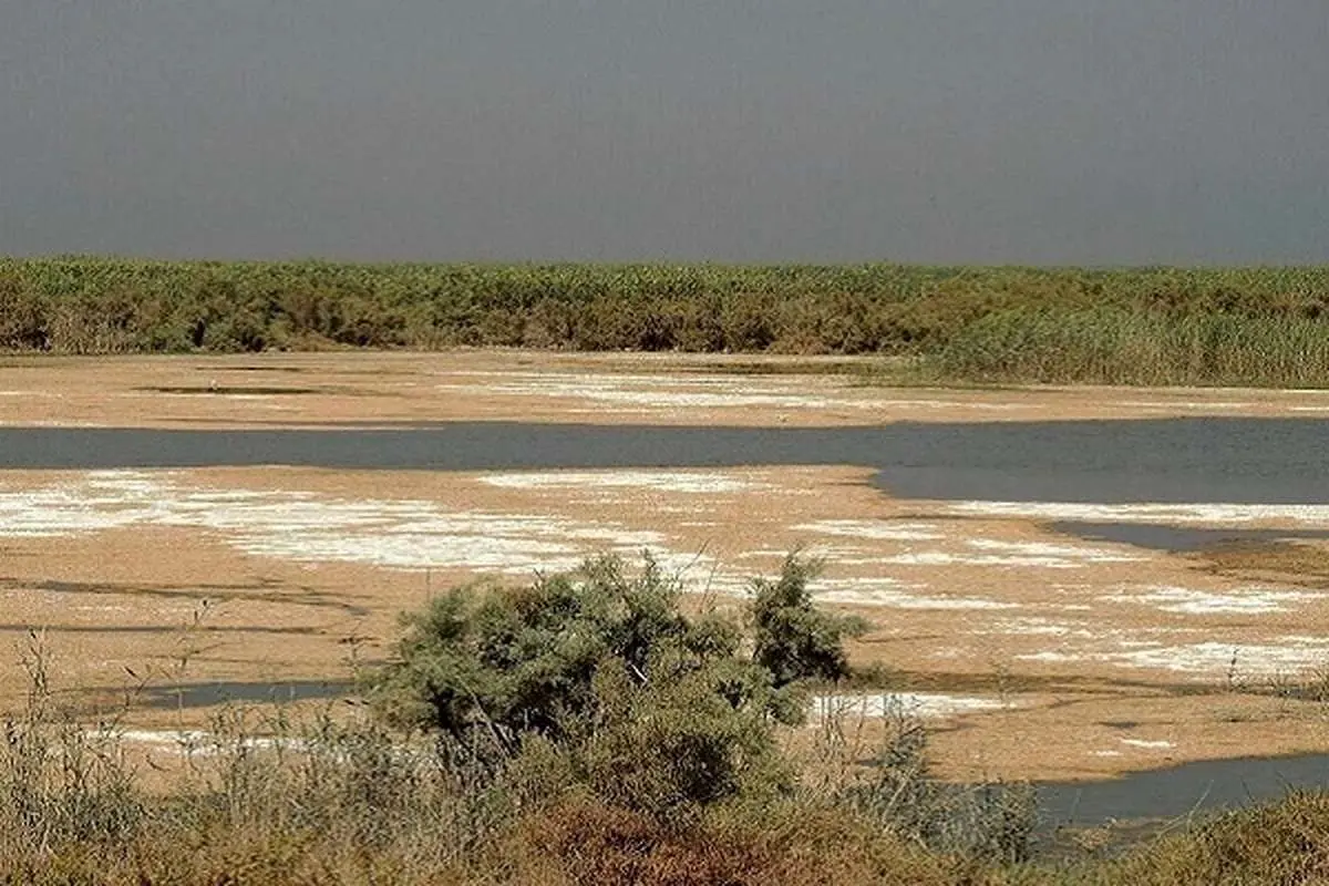 دود آتشسوزی هورالعظیم باز هم دامن خوزستان را گرفت