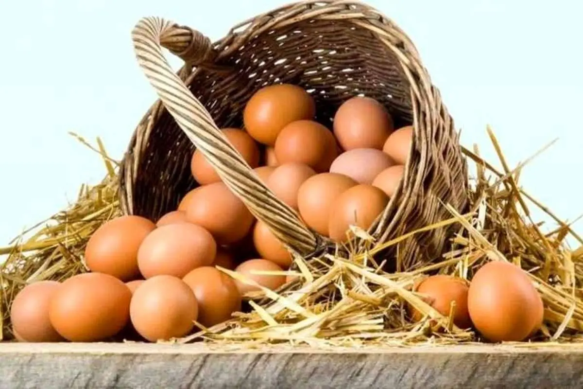 (تصاویر) وقتی تخممرغ کیلویی ۶ تومان هم در تهران گیر نمیآمد