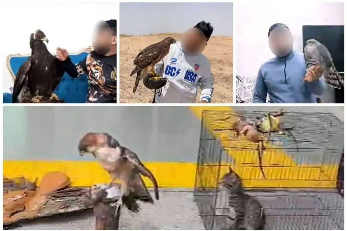 دکتر عقاب دستگیر شد