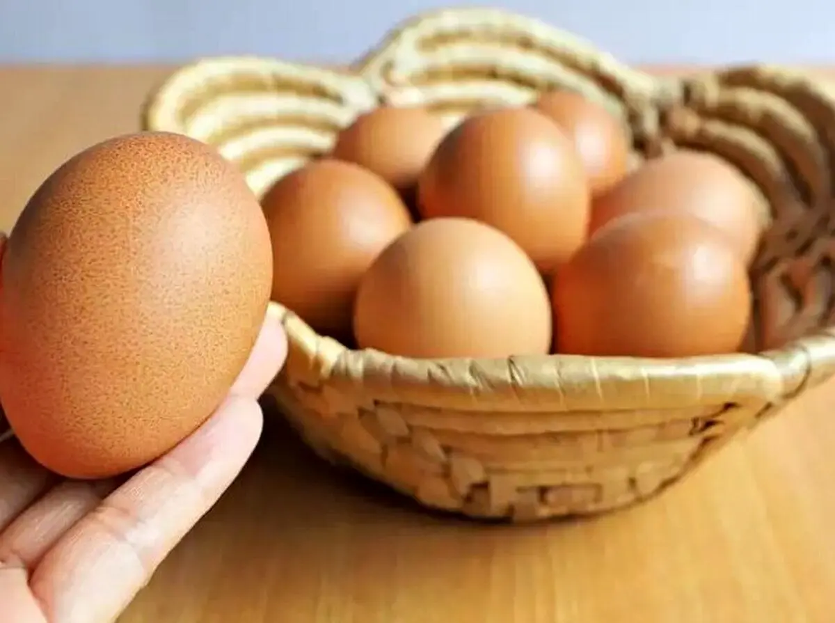 ۵ ترفند ساده برای تشخیص تخم مرغ فاسد از سالم