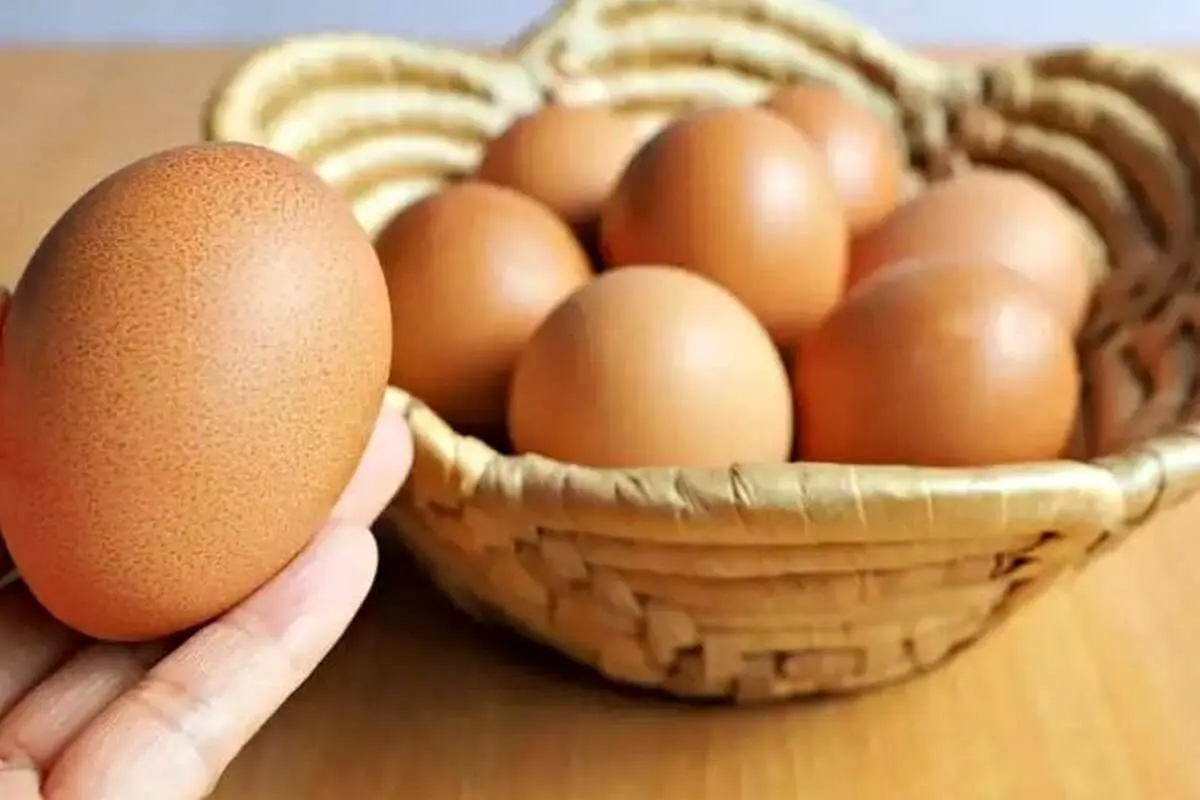 ۵ ترفند ساده برای تشخیص تخم مرغ فاسد از سالم