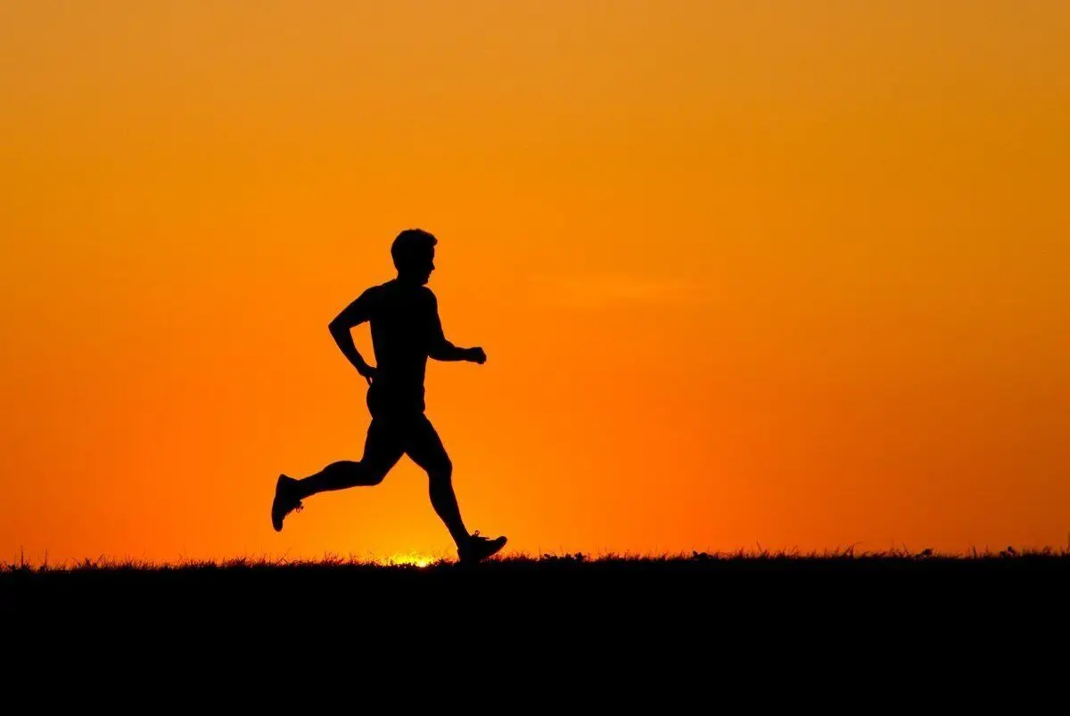 بعد ورزش چی بخوریم سالم باشه؟