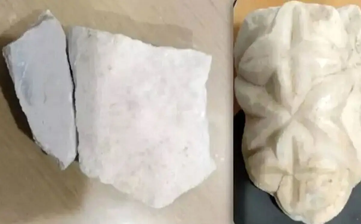 ماجرای زن گردشگر بلژیکی که در خطر حبس قرار گرفت