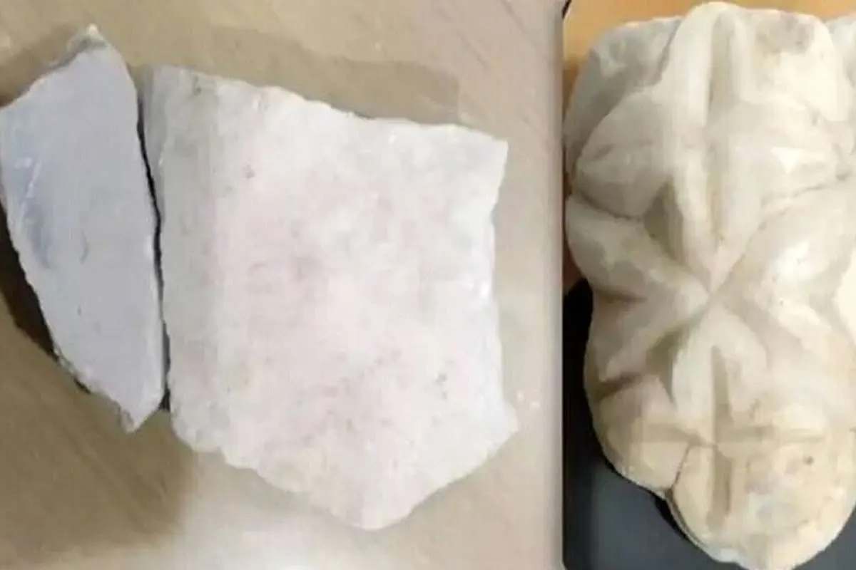 ماجرای زن گردشگر بلژیکی که در خطر حبس قرار گرفت