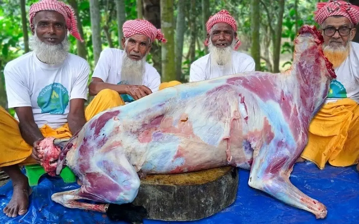 (ویدئو) ببینید این ۴ پدربزرگ هندی چگونه با بز ۵۰ کیلوگرمی بریانی طبخ می‌کنند