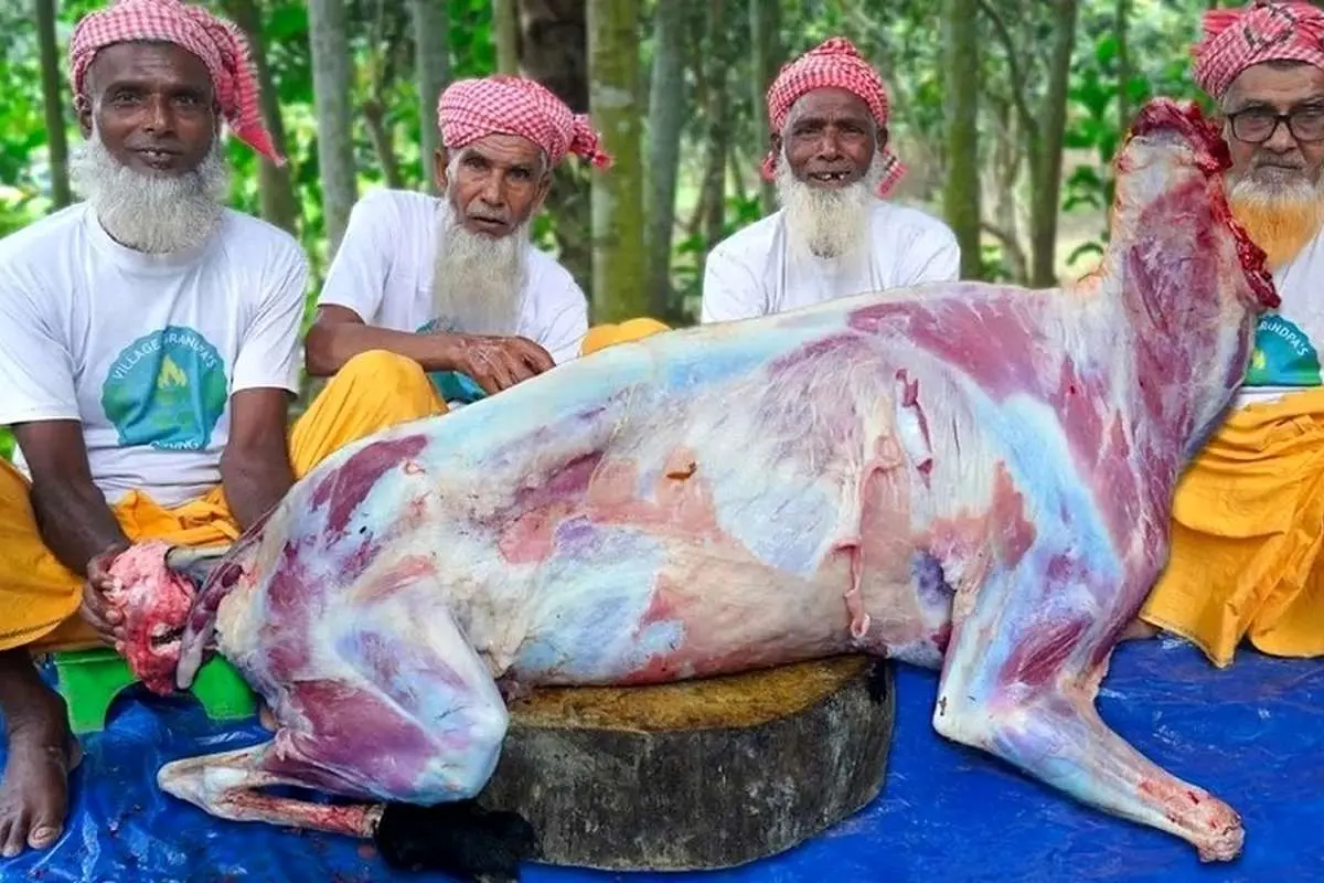 (ویدئو) ببینید این ۴ پدربزرگ هندی چگونه با بز ۵۰ کیلوگرمی بریانی طبخ میکنند