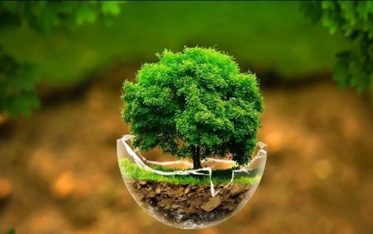 بانک‌ها با محیط زیست چه می‌کنند؟