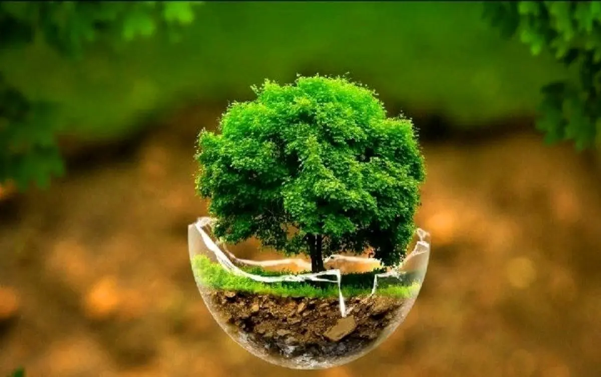 بانک‌ها با محیط زیست چه می‌کنند؟