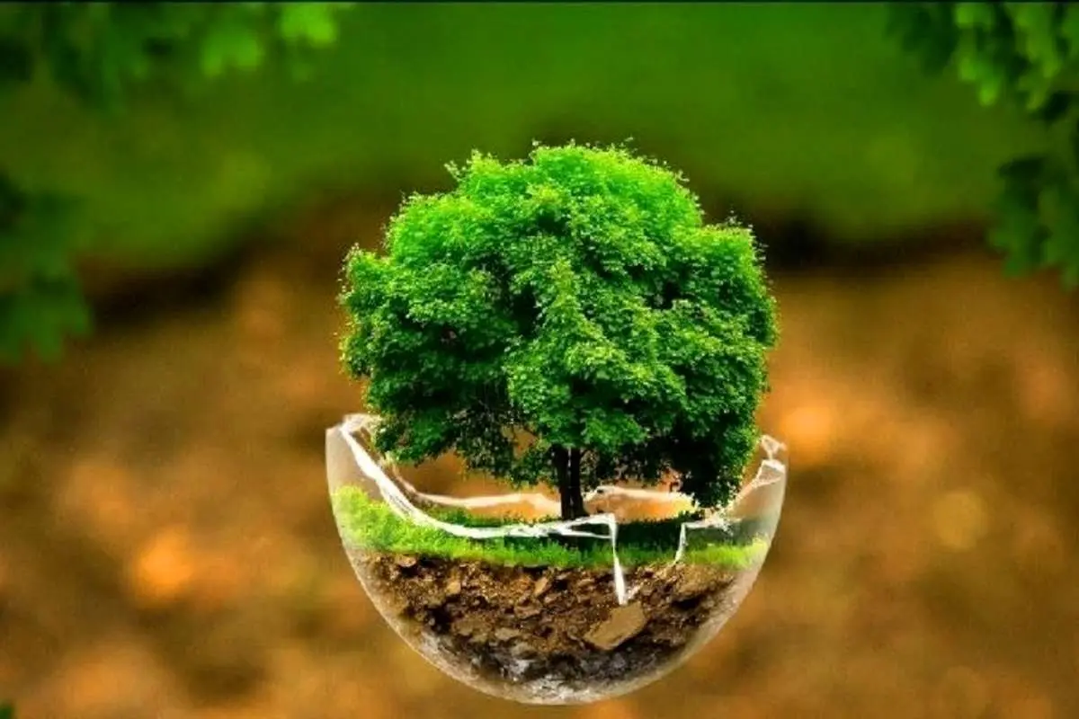 بانکها با محیط زیست چه میکنند؟