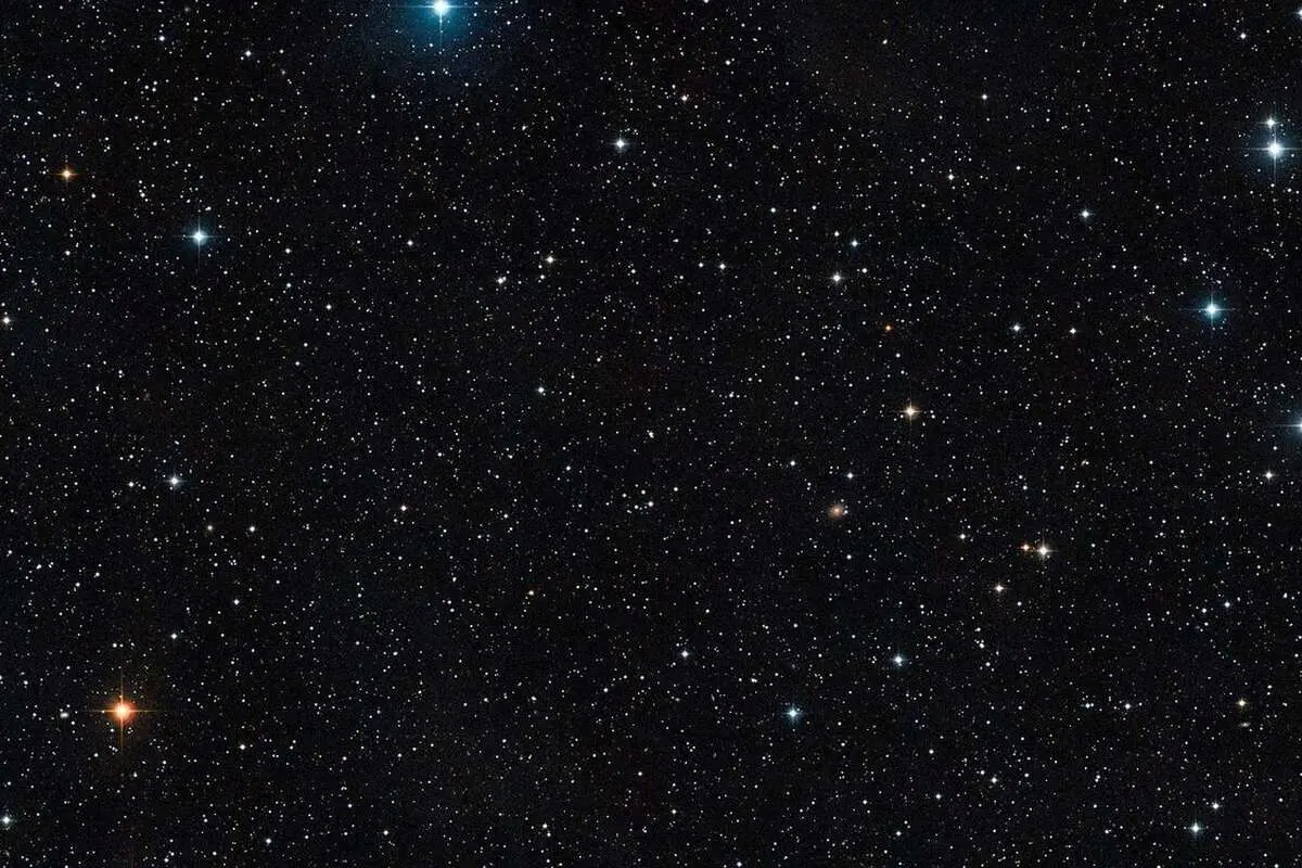 (عکس) ستاره‌ای در چشم اسب!