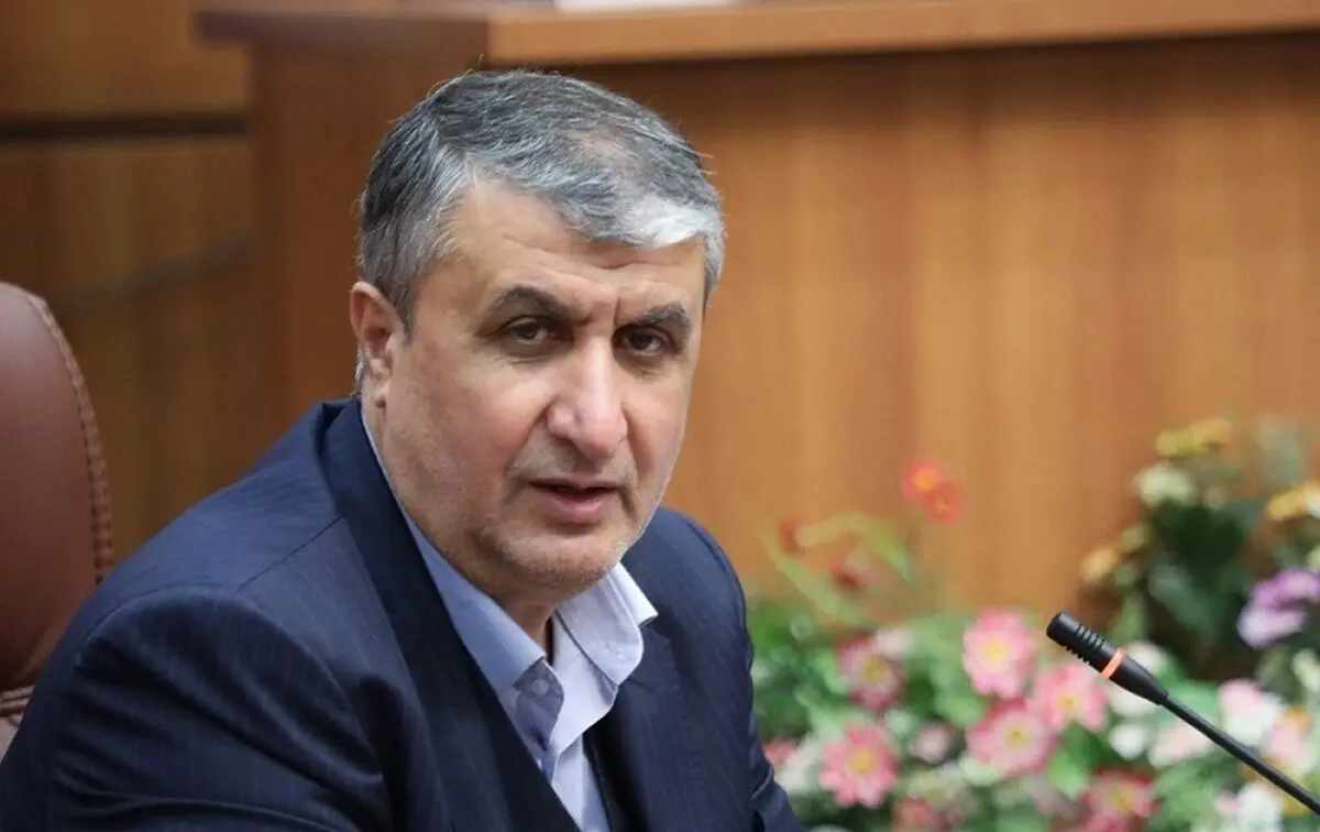 اسلامی: ایران ۱۰ برابر دیگر کشورها مورد بازرسی آژانس قرار می‌گیرد