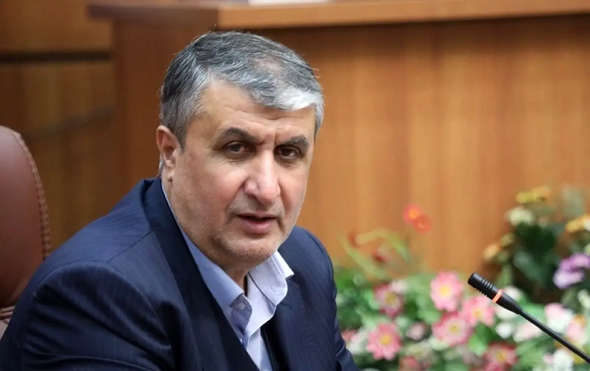 اسلامی: ایران ۱۰ برابر دیگر کشورها مورد بازرسی آژانس قرار می‌گیرد