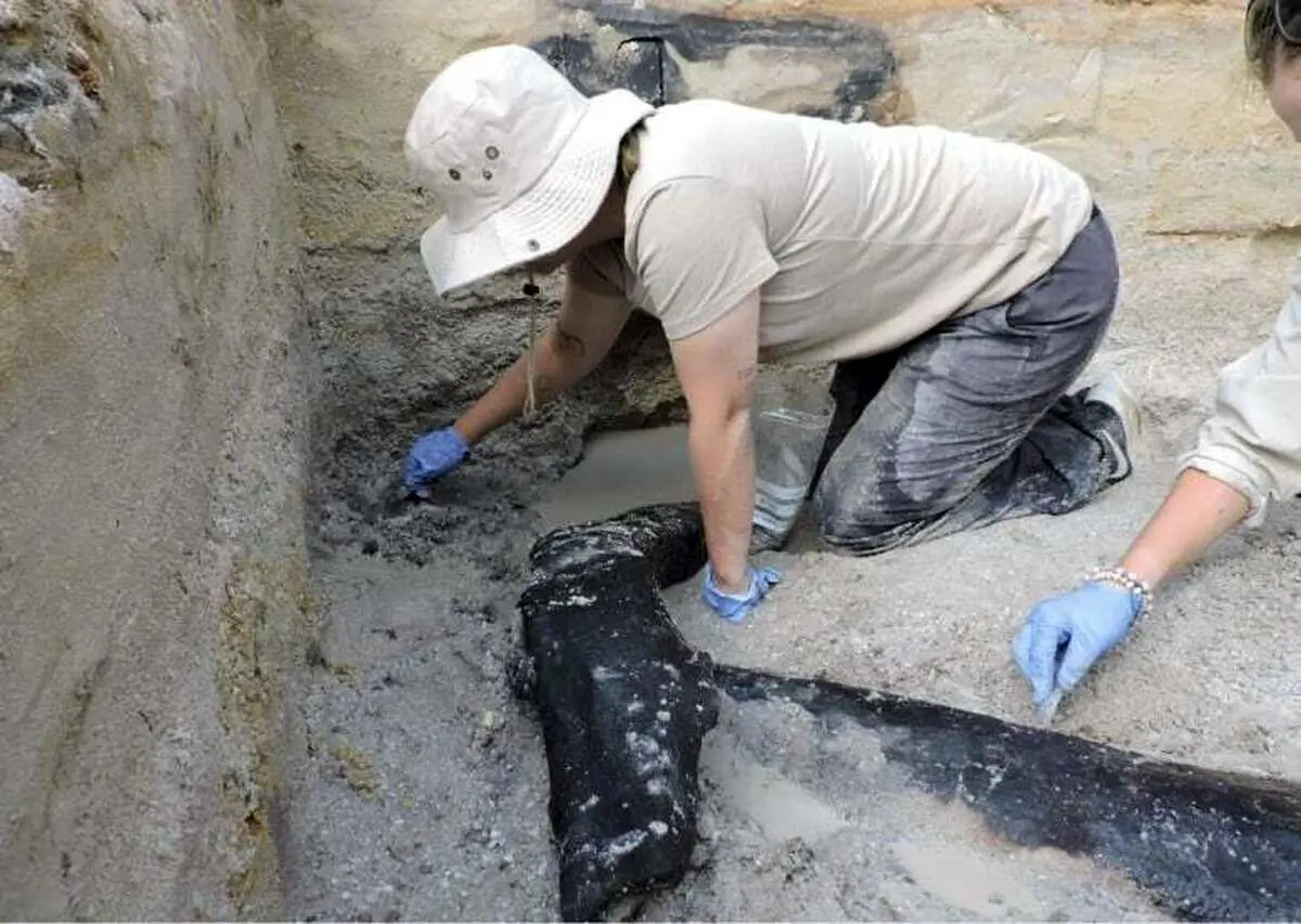 بیرون کشیدن یک ابزار عجیب نیم میلیون ساله از دل خاک
