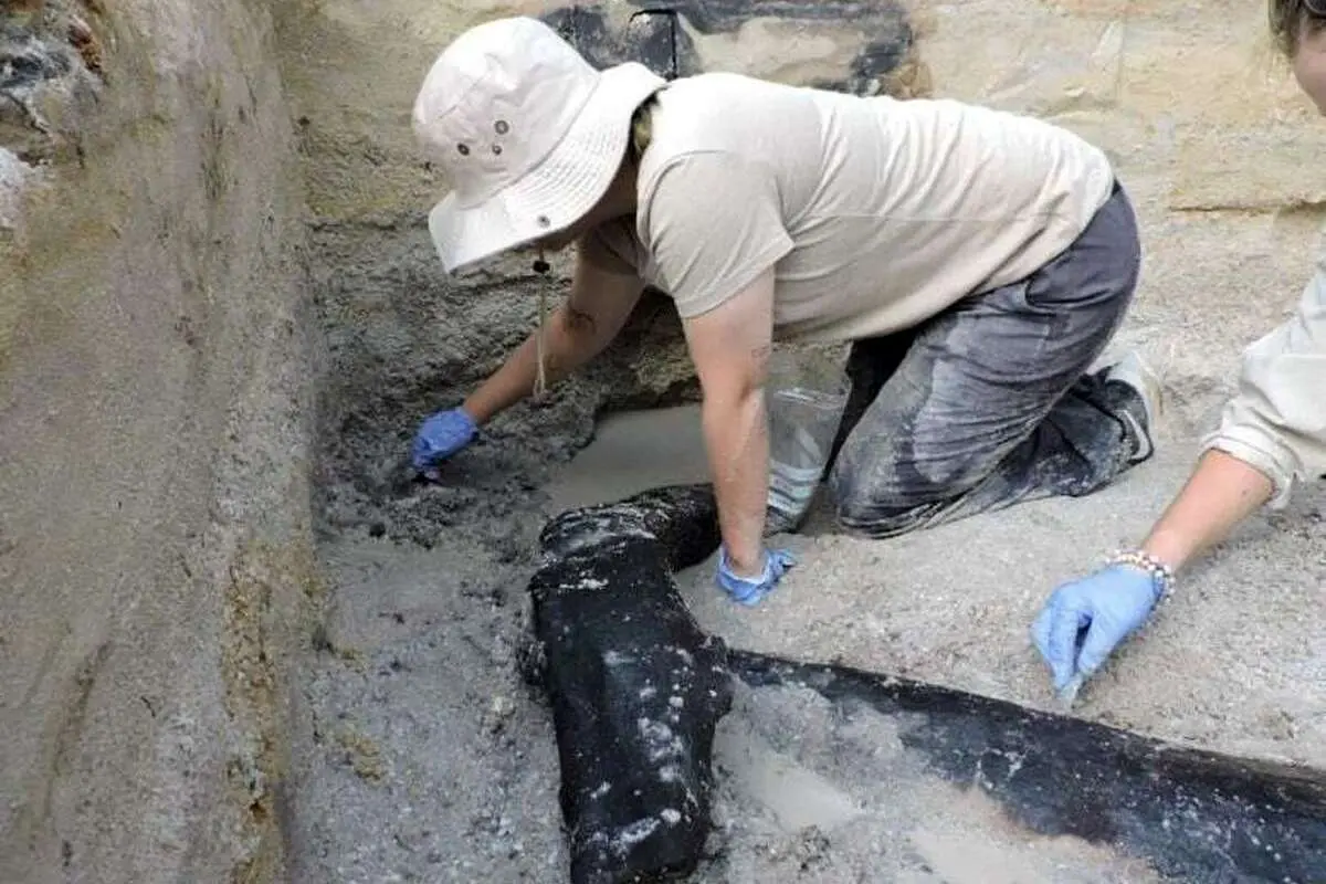 بیرون کشیدن یک ابزار عجیب نیم میلیون ساله از دل خاک