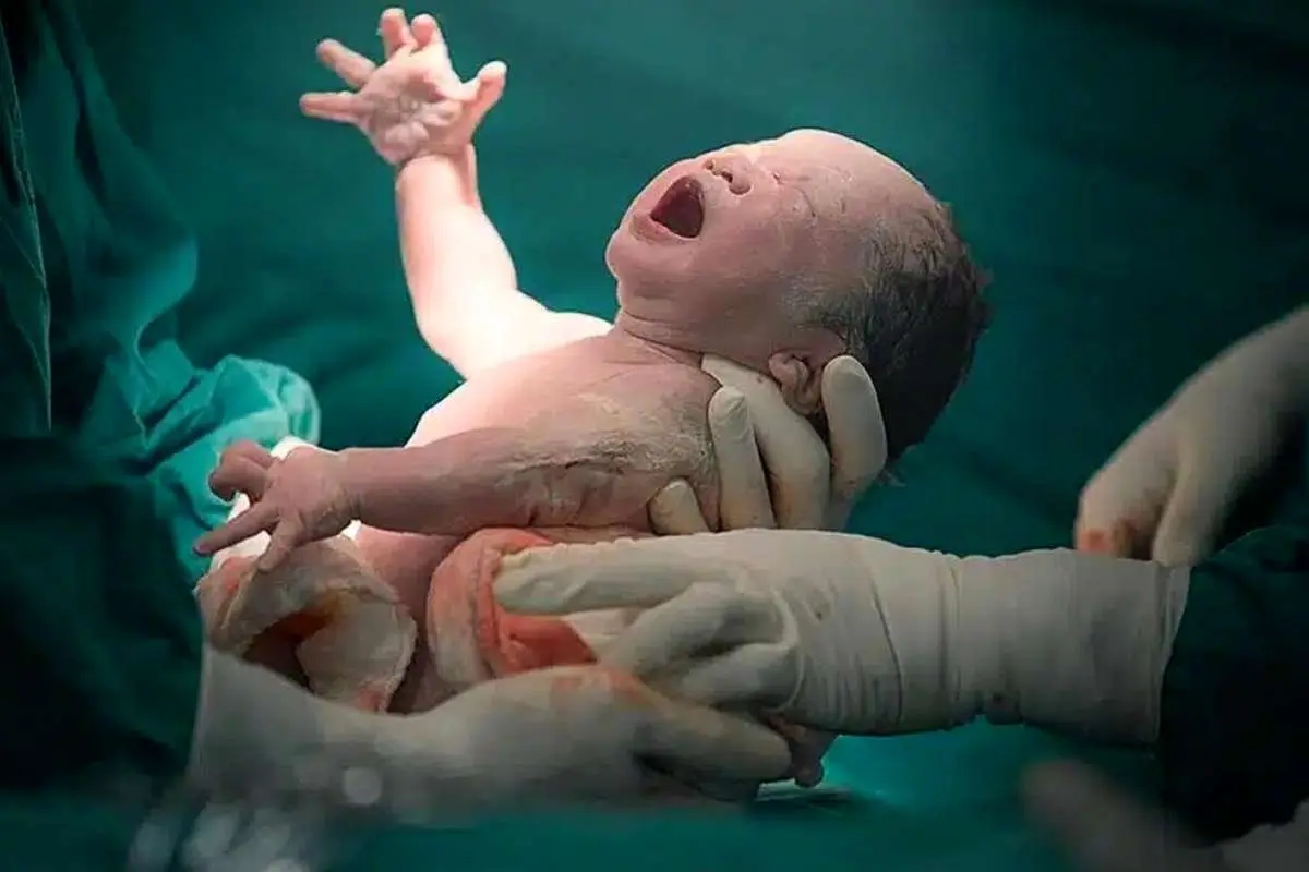 بزرگترین اختراع در تاریخ بشریت؛ چگونه بدن زنان ۲۰۰ میلیون سال تکامل بشر را هدایت کرد؟