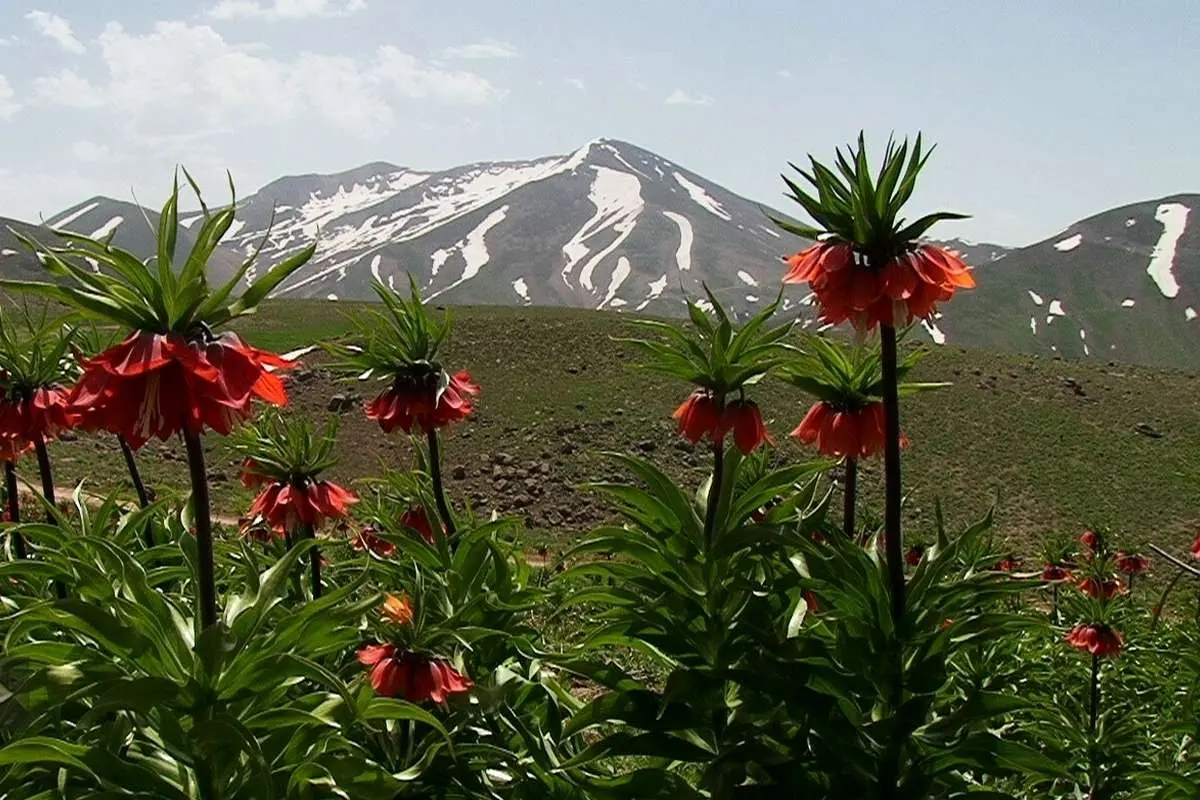 (ویدئو) طبیعت چشمنواز کوهرنگ در چهارمحال و بختیاری
