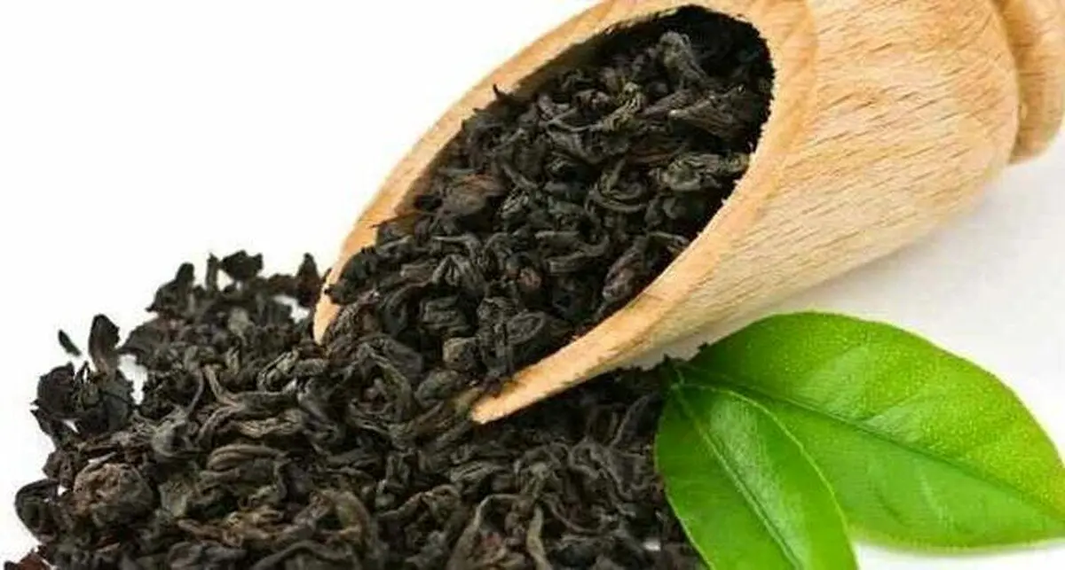 واردات مشروط چای آغاز شد؛ قیمت چای تغییر می‌کند؟