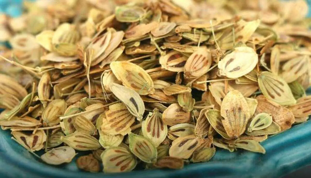 وقتی گلپر می‌خوریم چه اتفاقی در بدنمان می‌افتد؟