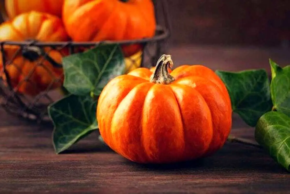 چرا کدو حلوایی برای سرماخوردگی خوبه؟ + طرز استفاده
