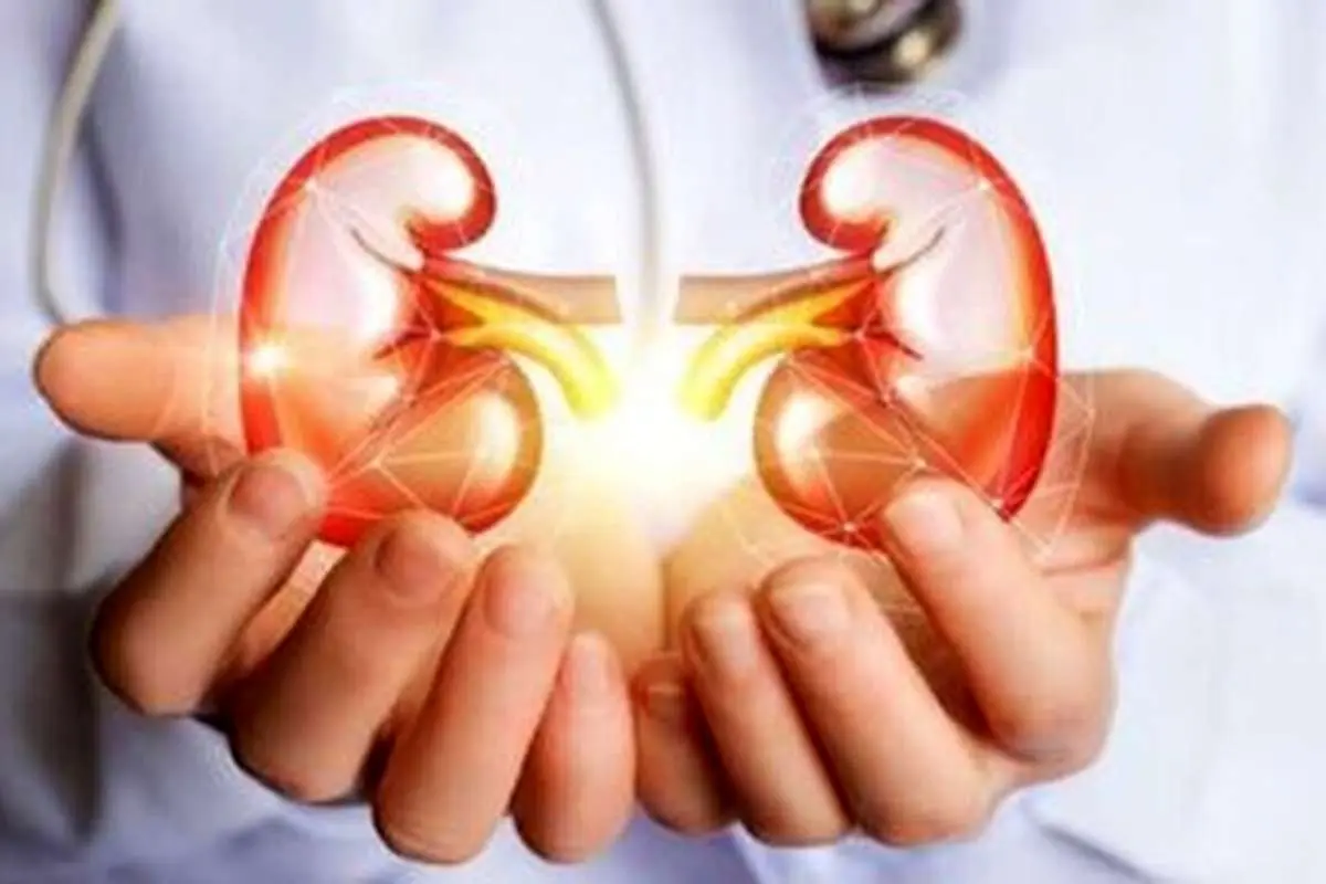 اگر این ۵ نشانه را دارید یعنی کلیههای شما در خطر است