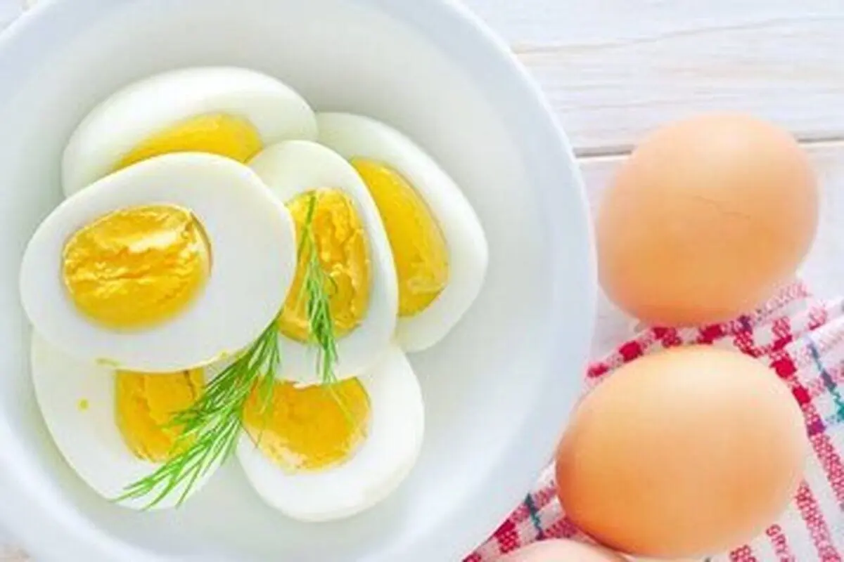 مصرف روزانه تخم مرغ مفید است یا مضر؟