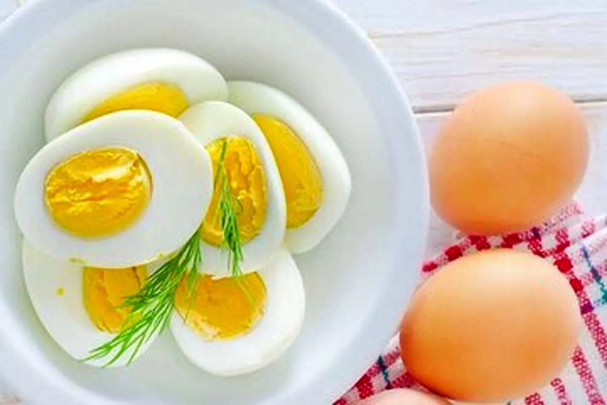 مصرف روزانه تخم مرغ مفید است یا مضر؟