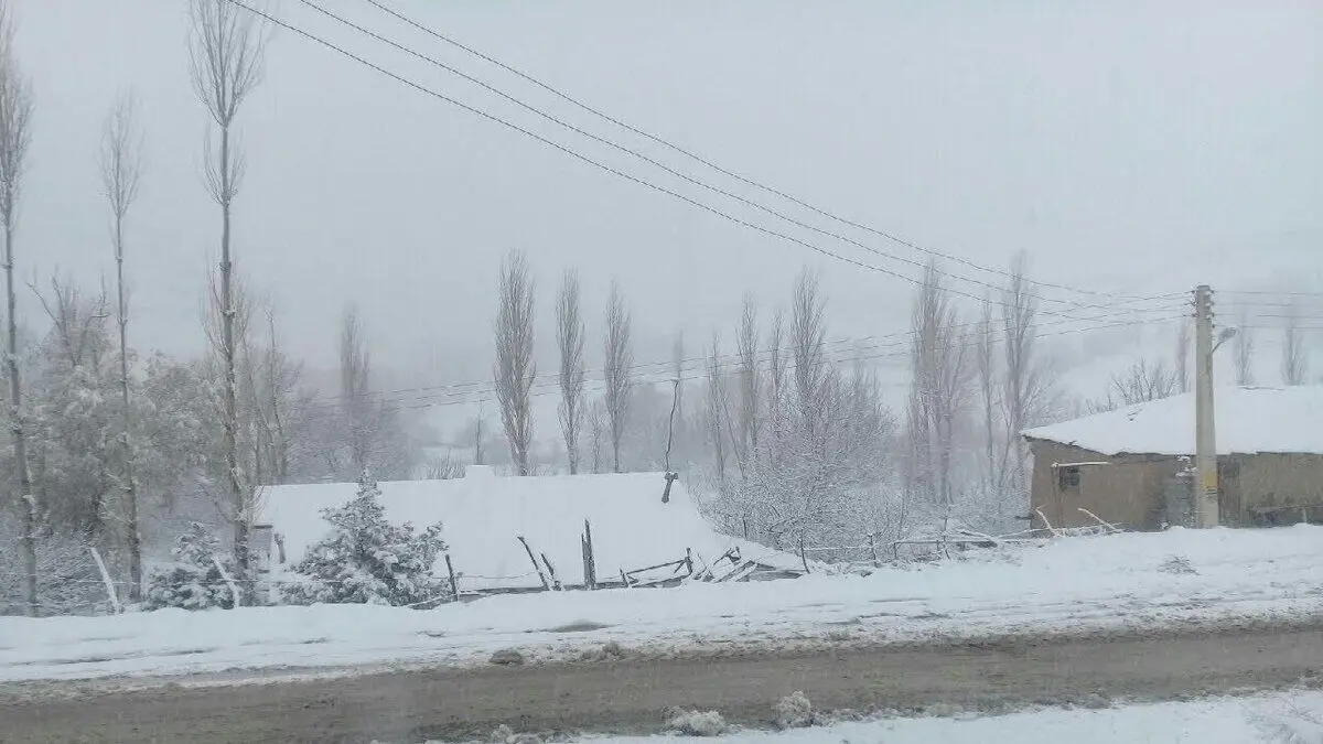 این نقطه کشور الان برف می‌بارد / مردم این مناطق پاییز برفی را تجربه می‌کنند