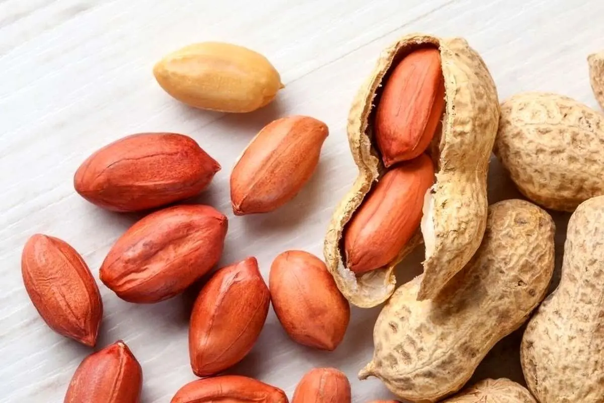 این آجیل شما را لاغر میکند