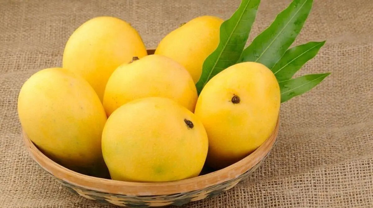 میوه پرخاصیتی که شما را خیلی زود لاغر می‌کند