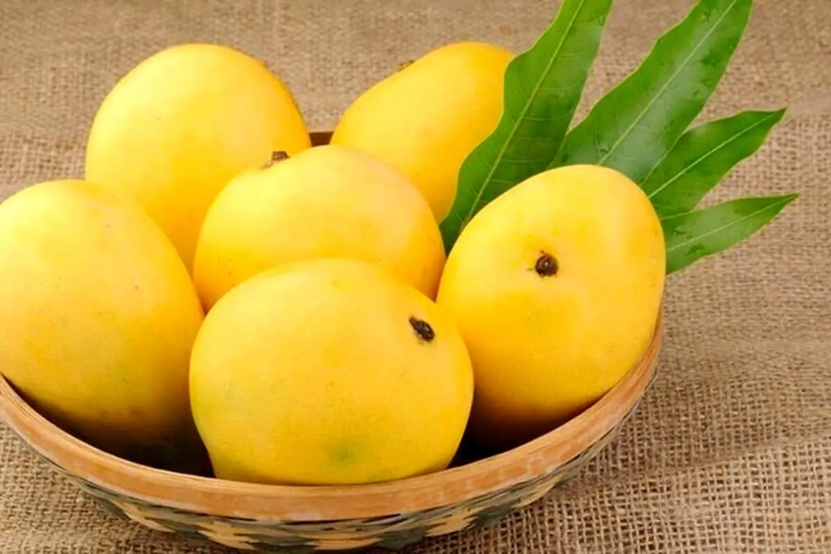 میوه پرخاصیتی که شما را خیلی زود لاغر میکند