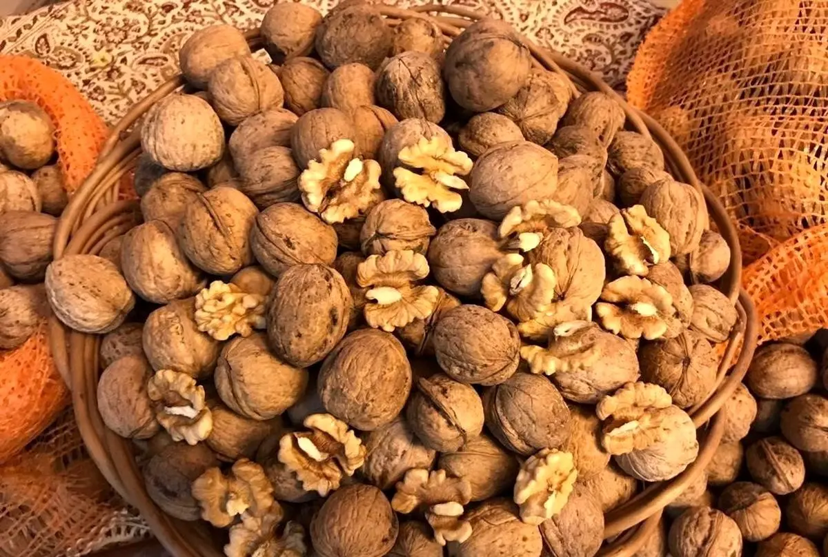 مواد غذایی که هر روز باید بخورید