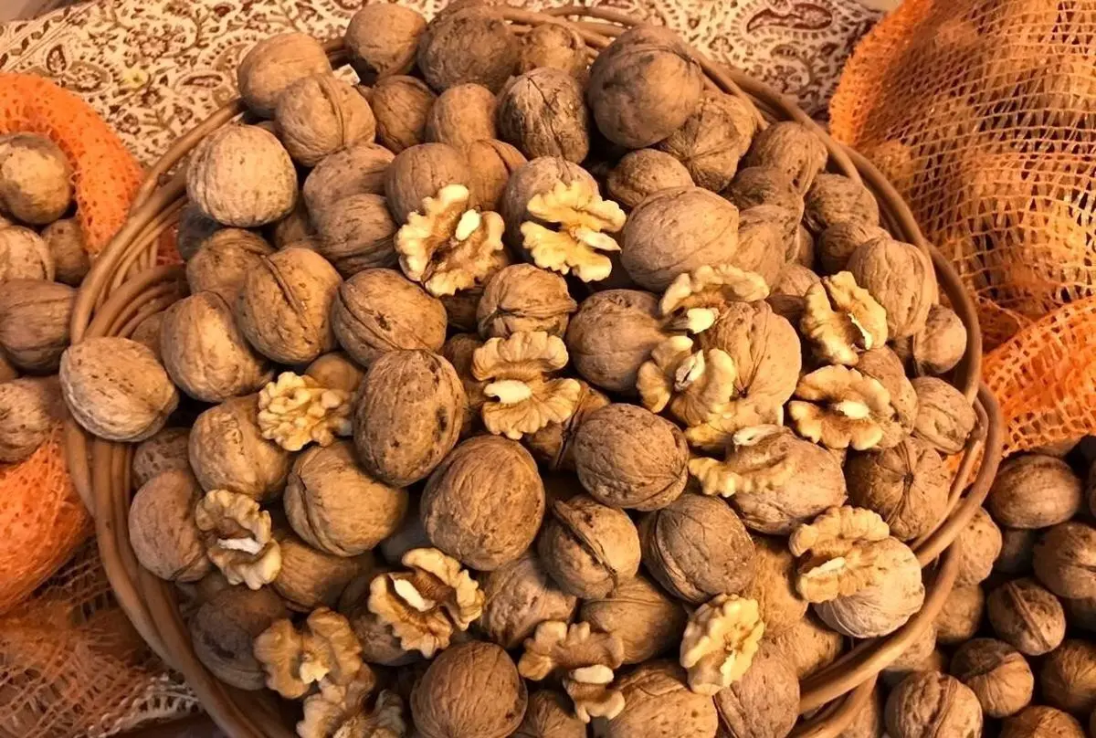 مواد غذایی که هر روز باید بخورید