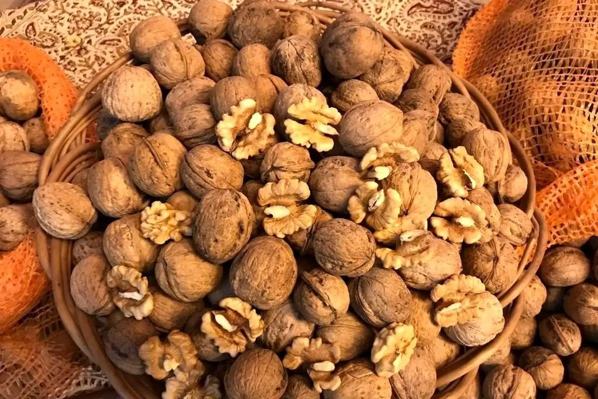 مواد غذایی که هر روز باید بخورید