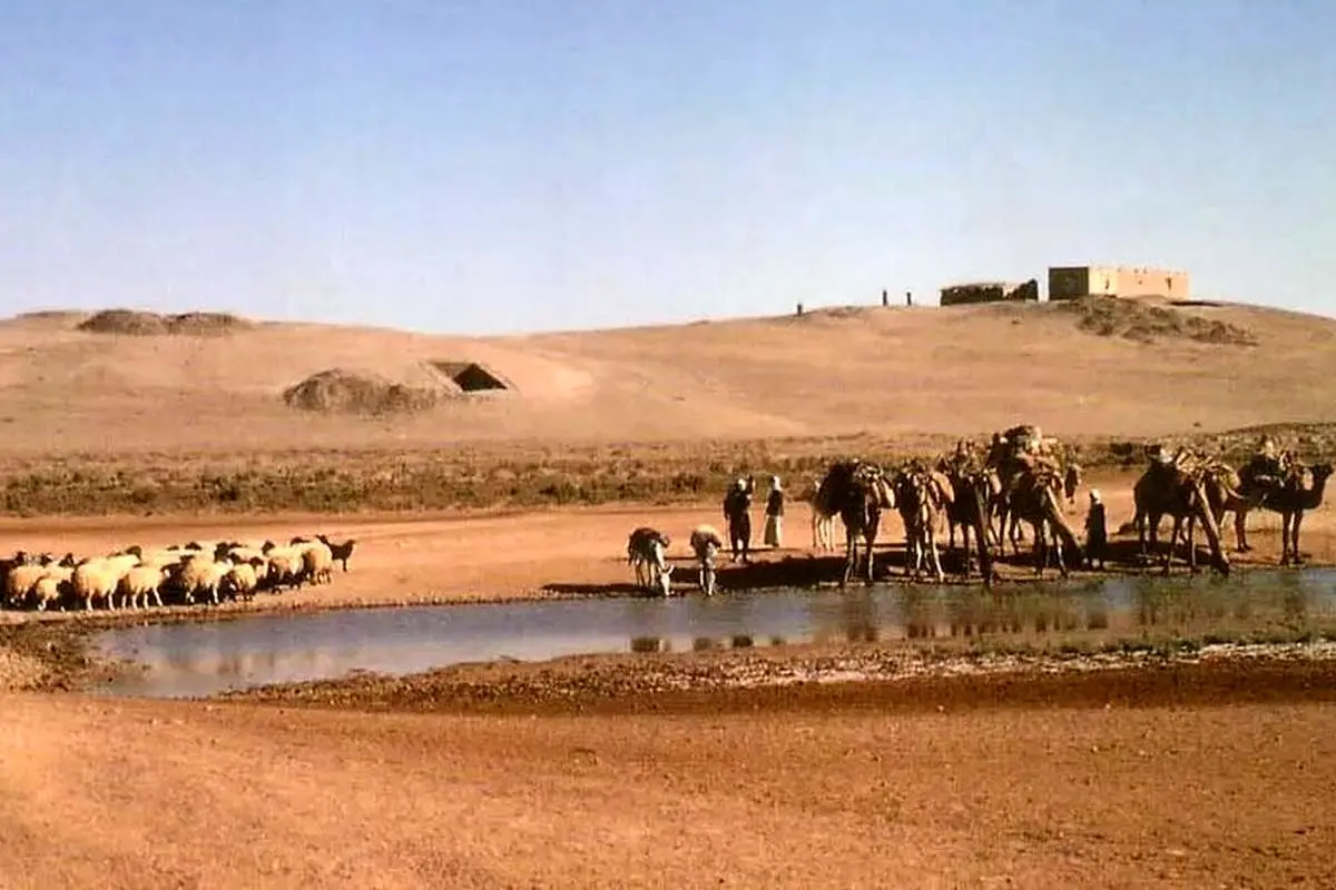 برخورد یک دنبالهدار باعث آغاز کشاورزی شد! / روستای ماقبل تاریخ الان کجاست؟