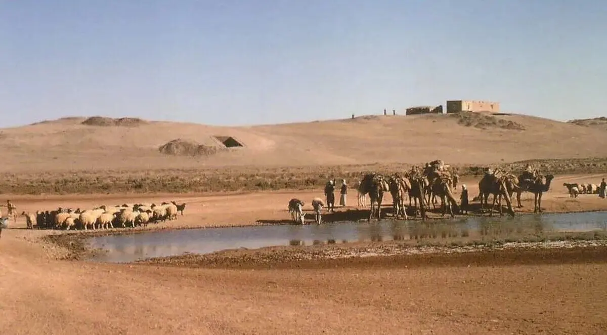 برخورد یک دنباله‌دار باعث آغاز کشاورزی شد! / روستای ماقبل تاریخ الان کجاست؟