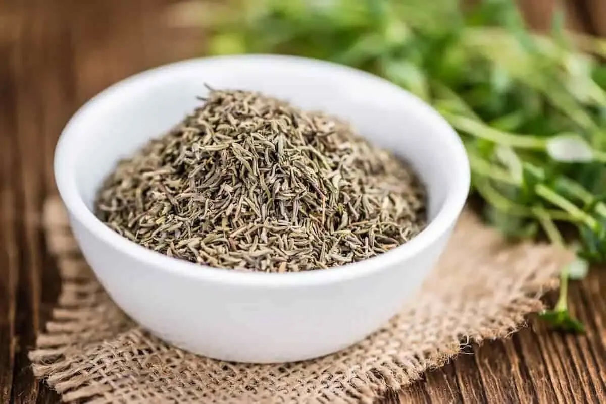 این گیاه معطر ۶ ویروس خطرناک را از شما دور می‌کند