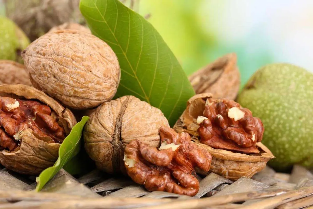 اتفاق شگفت انگیزی که خوردن گردو برای پوست رقم می‌زند
