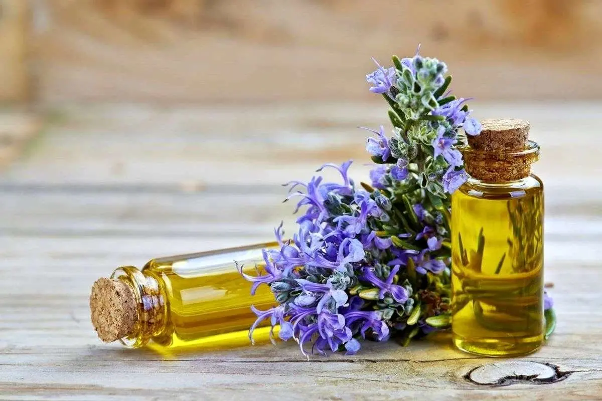 یک روغن گیاهی برای توقف ریزش مو و رشد آن