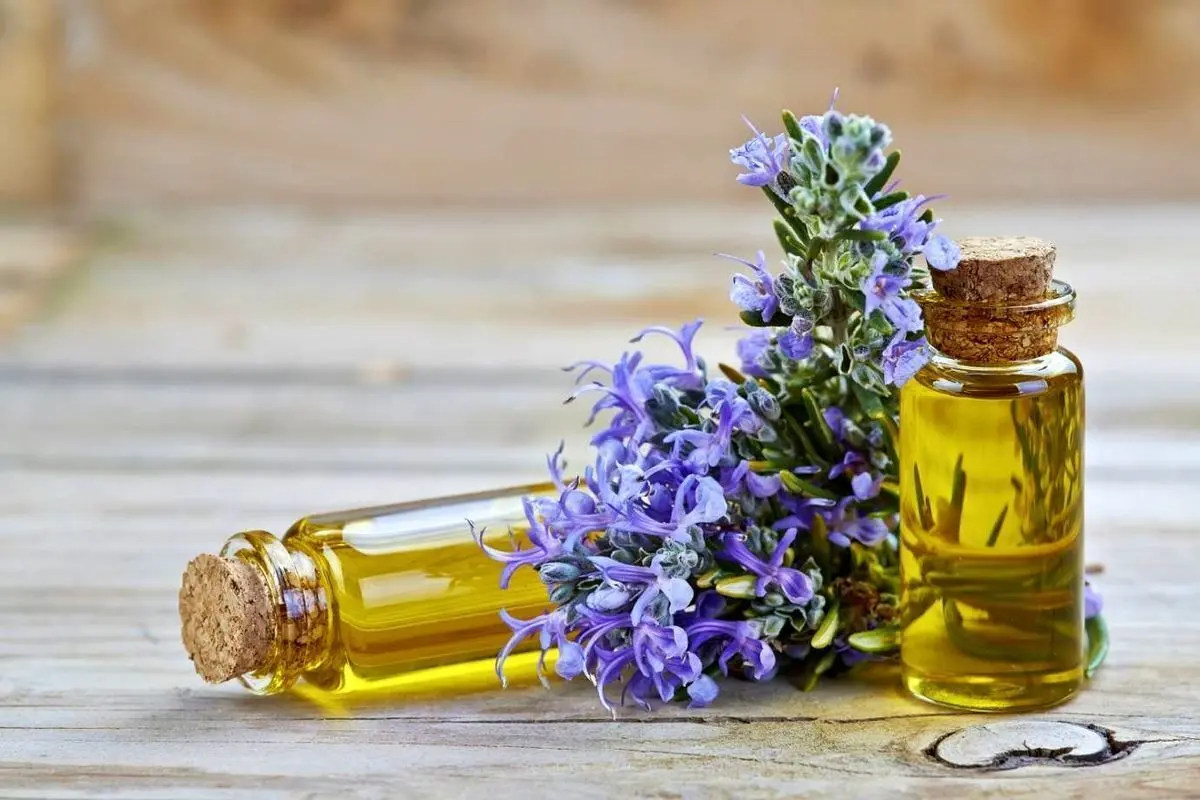 یک روغن گیاهی برای توقف ریزش مو و رشد آن