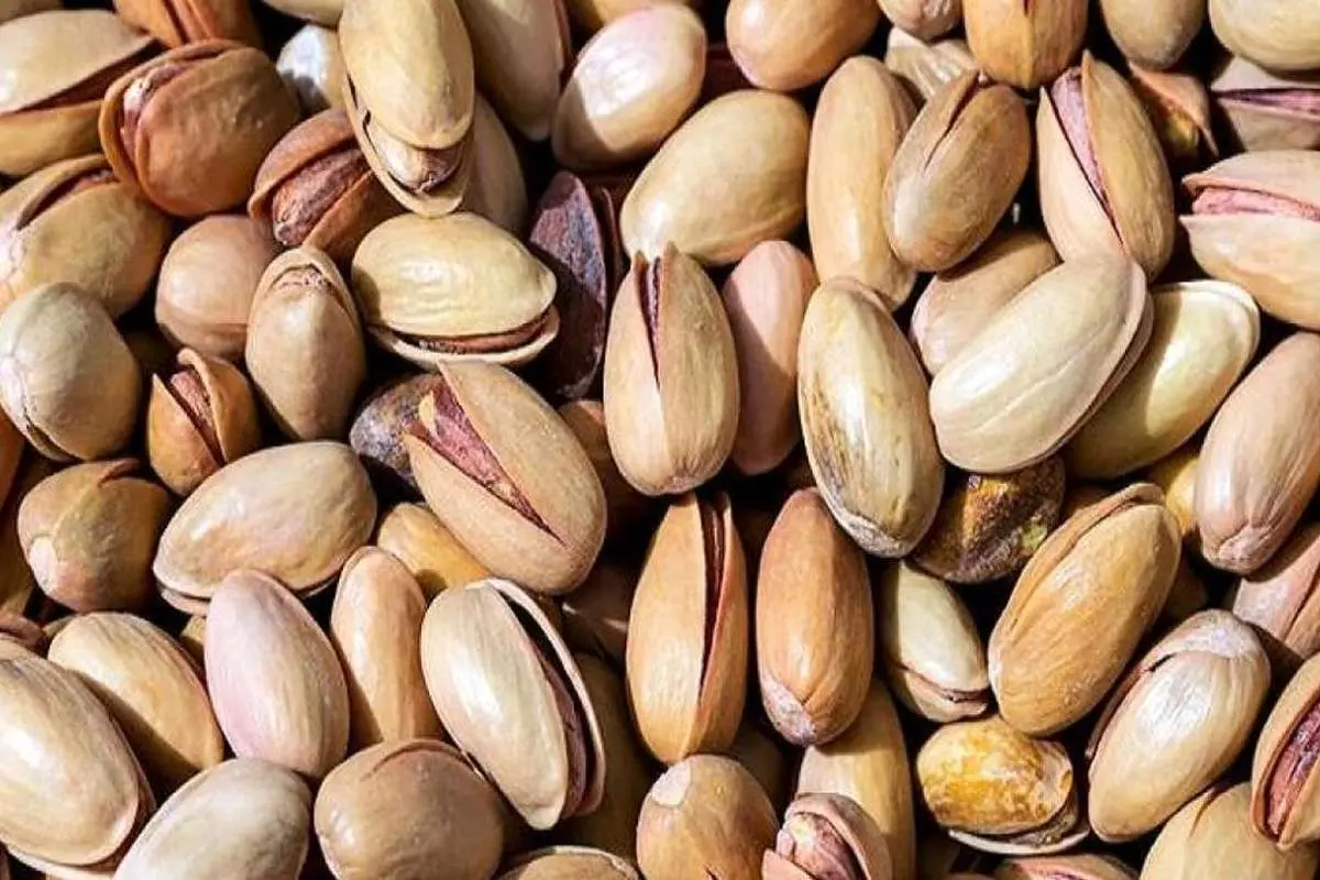 سرگیجه صادرات پسته ایران در بازارهای جهان